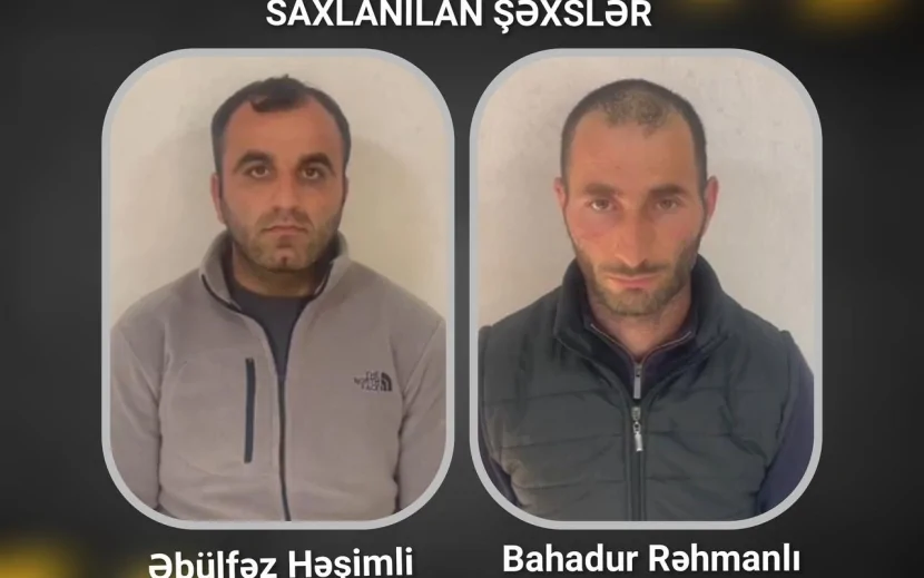 Ağsuda mal-qara oğurları SAXLANILDI