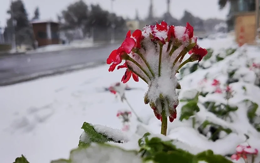 Sabahın havası- QAR YAĞACAQ