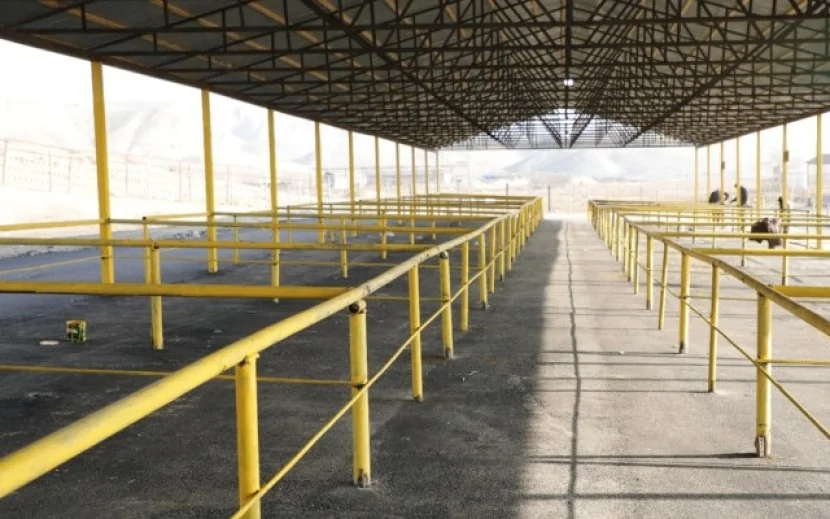 Şamaxı və Göyçay heyvan satışı bazarları FƏALİYYƏTƏ BAŞLADI