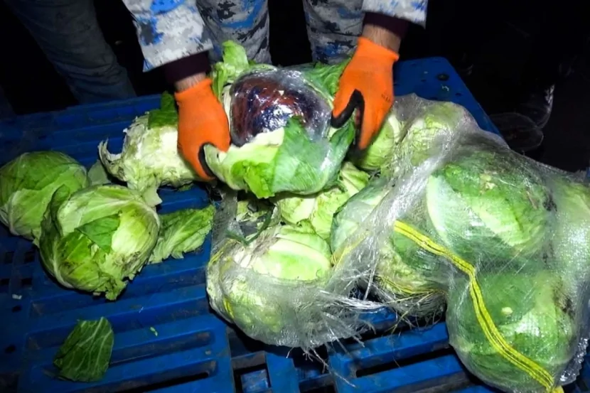 Kələm yükündən narkotik AŞKARLANDI