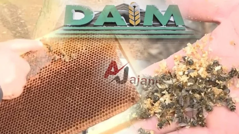 Azərbaycanda arıçılıq təsərrüfatında XƏSTƏLİK YAYILIB