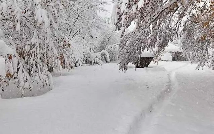 Qar yağır, 12 dərəcə ŞAXTA VAR- FAKTİKİ HAVA
