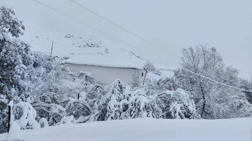 Lerikdə qarlı hava: Enerji bərpası üçün fasiləsiz İŞ APARILIR