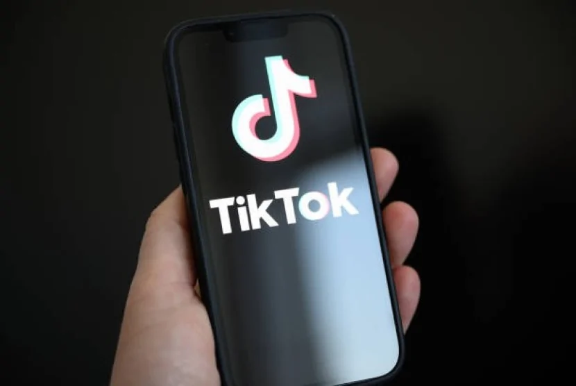 \"Tiktok\"da  qeyri-etik ifadələr işlədən şəxs həbs edilib
