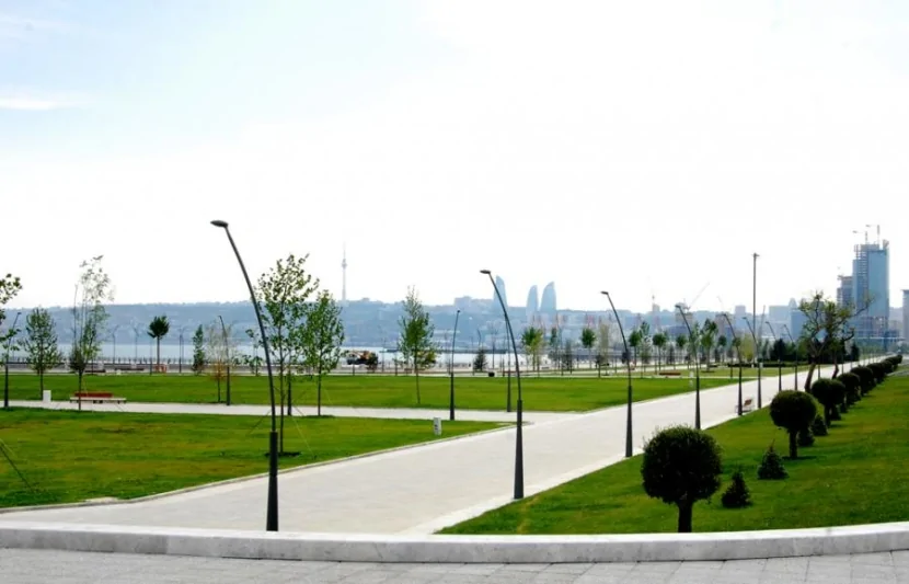 “Ağ Şəhər”də ağaclar gecə ilə MƏHV EDİLDİ-FOTO