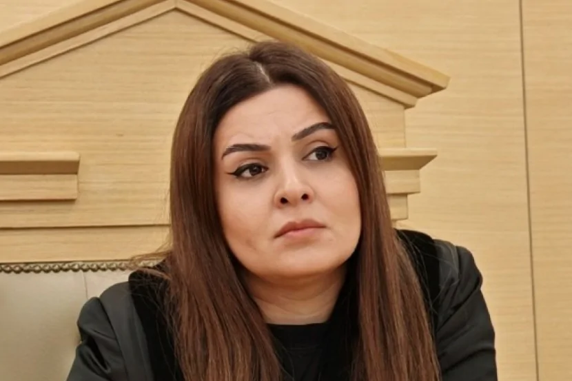 Hakimin ölümünə səbəb olan sürücü HƏBS EDİLMƏDİ