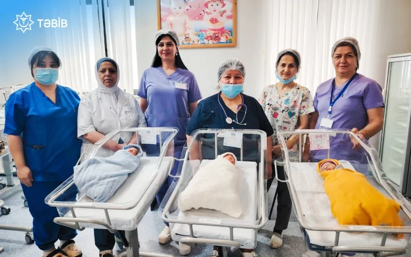 Lənkəranda üçuşaqlı ana üçəm DÜNYAYA GƏTİRİB