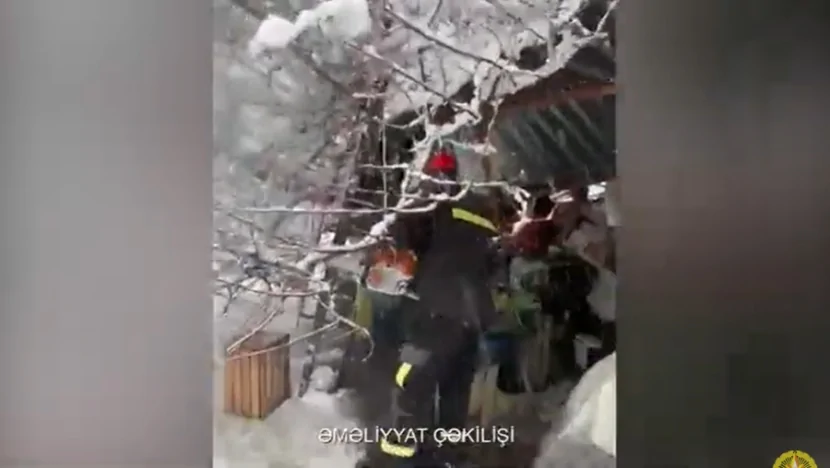 Üzərinə ağac aşan qadın belə xilas edildi- GÖRÜNTÜLƏR