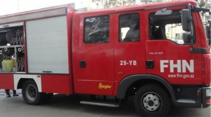 Gəncədə tövlə yandı, ev quşları tələf oldu