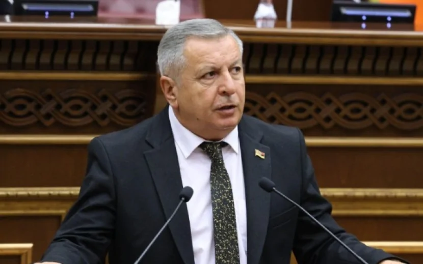 \"Konstitusiyamızda problemli məqamlar var\" - Erməni deputat