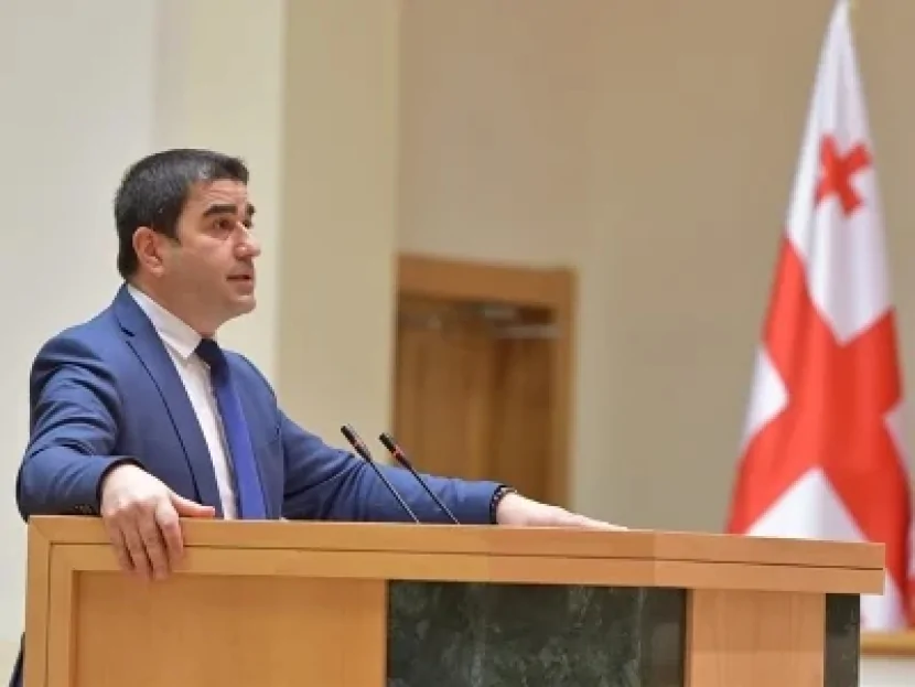 Gürcüstan parlamentinin sədri Zelenskini “nankor” adlandırıb