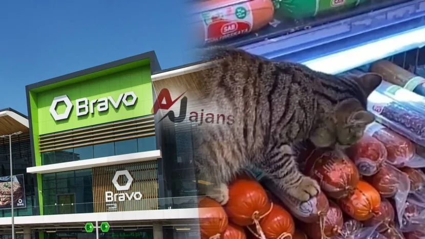 “Bravo”da ətlərin dadına birinci pişik baxır - MARAQLI GÖRÜNTÜLƏR