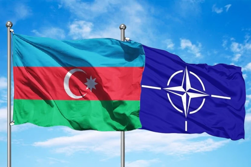 Azərbaycan-NATO tərəfdaşlığı müzakirə olundu