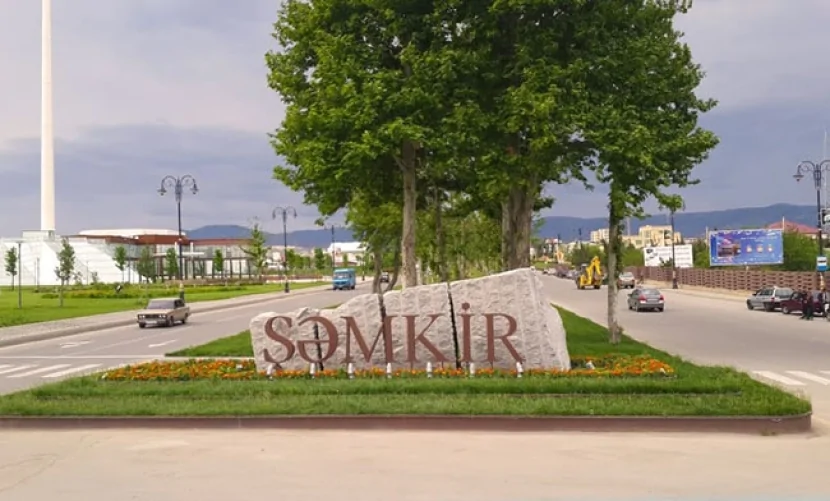 Şəmkirdə DAVA: Ana və oğul DÖYÜLDÜ