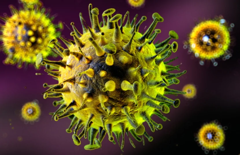 Təhlükəli virus gəlir - Koronavirusdan daha AĞİRDIR