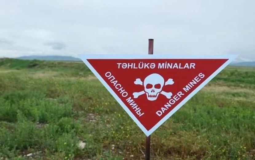 Daha 117 mina AŞKARLANDI
