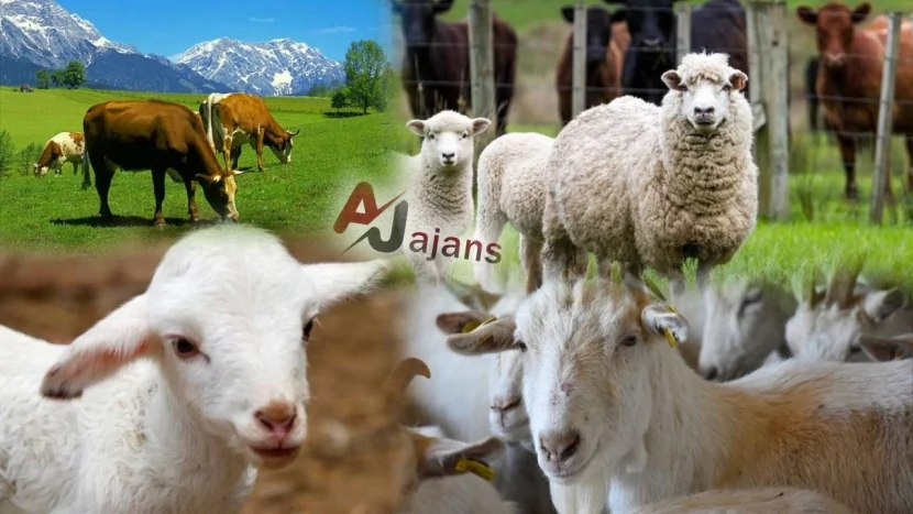 Azərbaycanda gələcəkdə TƏHLÜKƏ YARANA BİLƏR- SƏBƏB