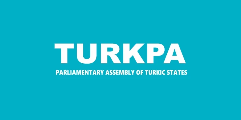 TÜRKPA Türkiyə bayrağının yandırılmasını pisləyib