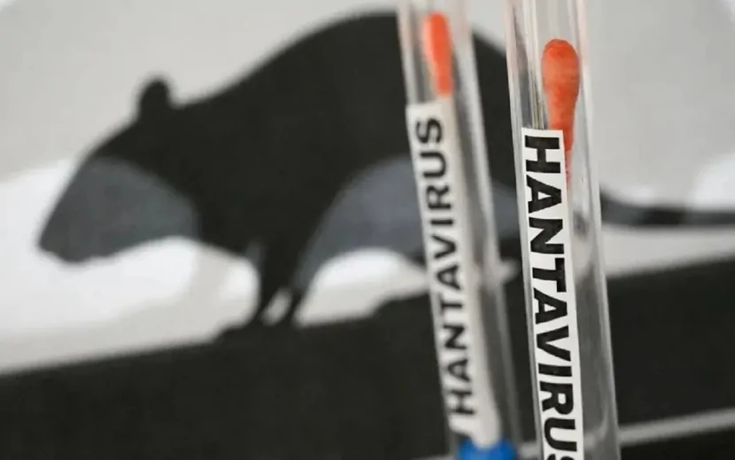 Türkiyədə hantavirus təhlükəsi - 3 nəfər karantinə alındı