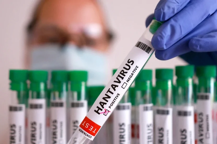 İspaniyada ilk hantavirus yoluxması TƏSDİQLƏNDİ