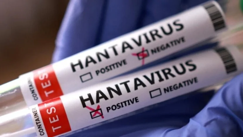 Hantavirus epidemiyalarının səbəbi AÇIQLANDI