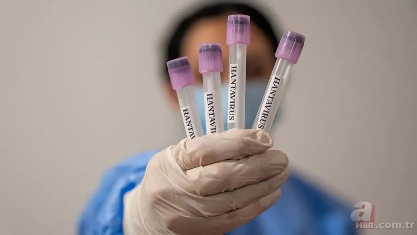 Hantavirus təhlükəsi BÖYÜYÜR- AB peyvənd üzərində İŞLƏYİR