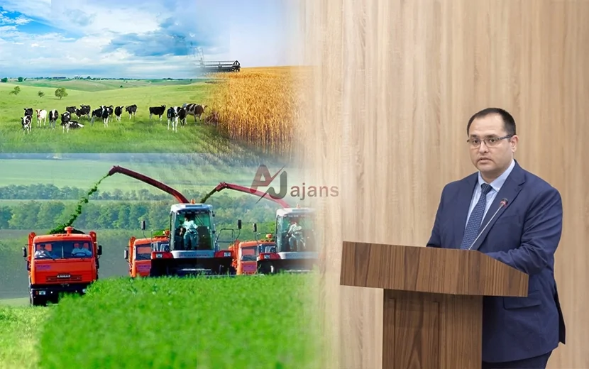 Xaricdə təhsil alan nazir Məcnun Məmmədovun diplomu təsdiq olunacaq?