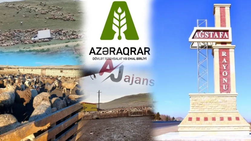 Şəhid yoldaşı Azəraqrardan ŞİKAYƏTÇİDİR: Torpaq var amma müqavilə İMZALANMAYIB