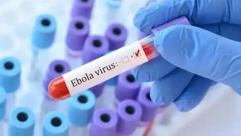 Daha bir ölkədə ölümcül virus AŞKARLANDI