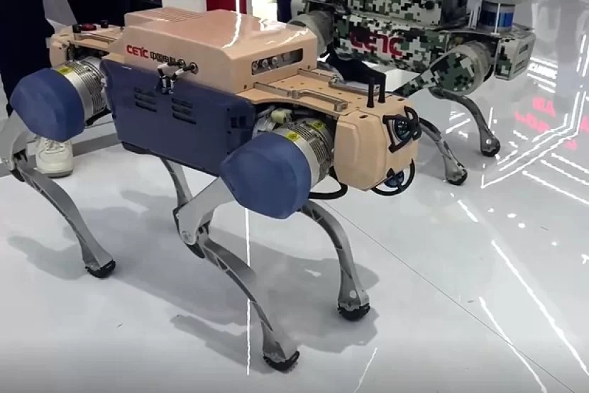 Çində robot döyüş iti