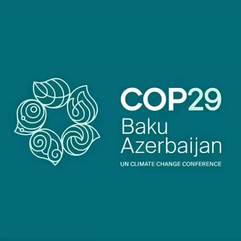 Nazirlər  COP29-la bağlı