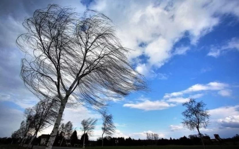 Hava ilə bağlı sarı