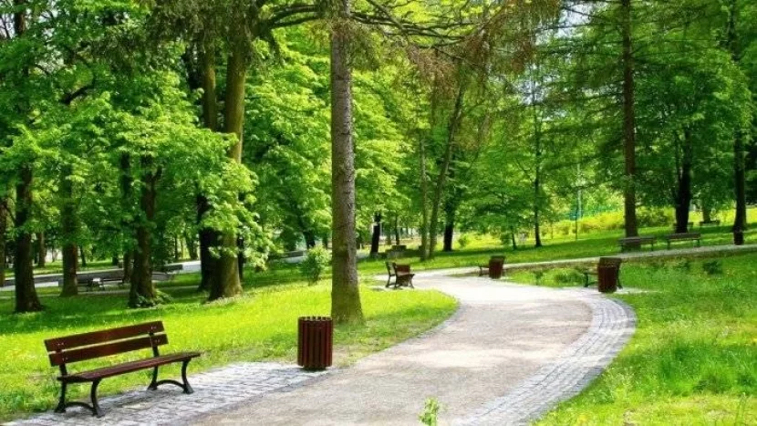 Azad edilmiş ərazilərdə yeni milli park