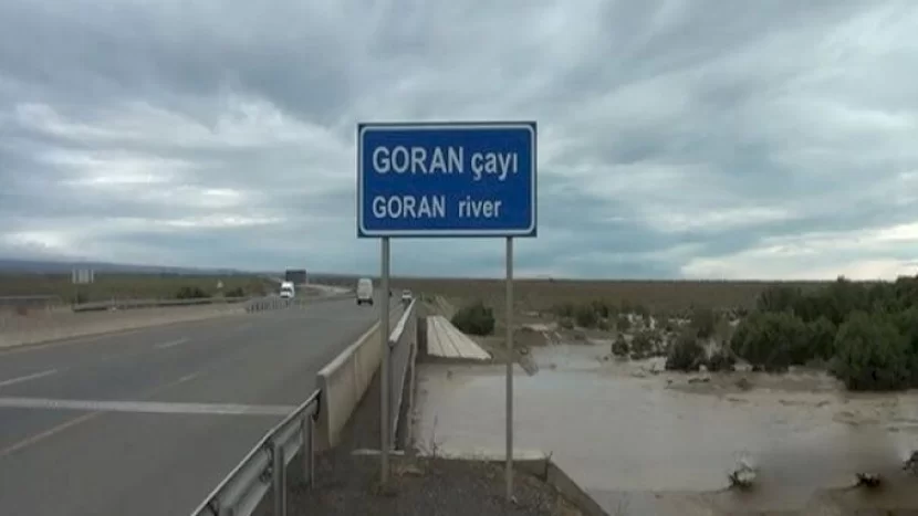 İçkili qadın körpüdən