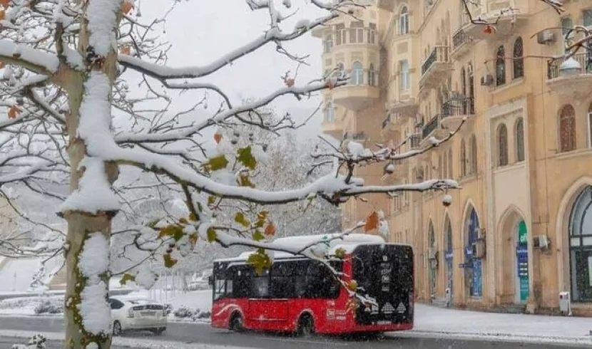 Qarlı hava davam edir, 23 dərəcə şaxta var - 